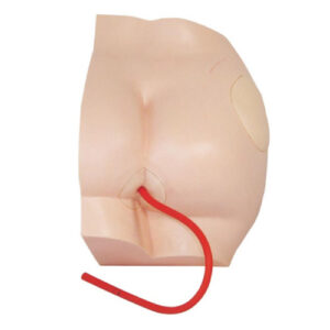 Buttock Injection Model, XC-431, ESMC, Xinch, China