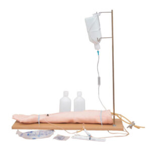 Injectable Training Arm Model (With Set), XC-434, ESMC, Xinch, China