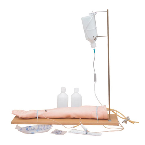 Injectable Training Arm Model (With Set), XC-434, ESMC, Xinch, China
