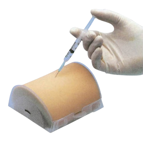 Multi-Functional Intramuscular Injection Training Pad, XC-445, ESMC, Xinch, China
