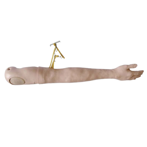 Multi-Functional IV Training Arm, XC-446, ESMC, Xinch, China