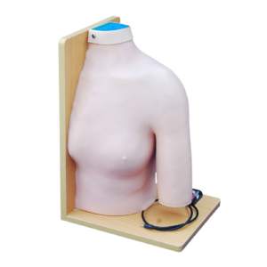 Shoulder Joint Intracavitary Injection Model, XC-452, ESMC, Xinch, China