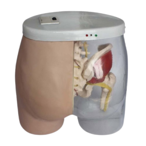 Intramuscular Injection Model, XC-453A, ESMC, Xinch, China