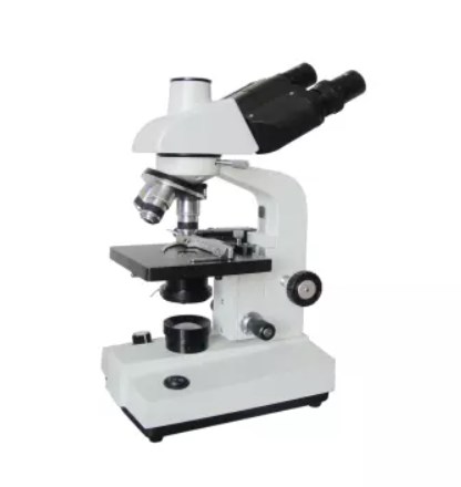 Trinocular microscope