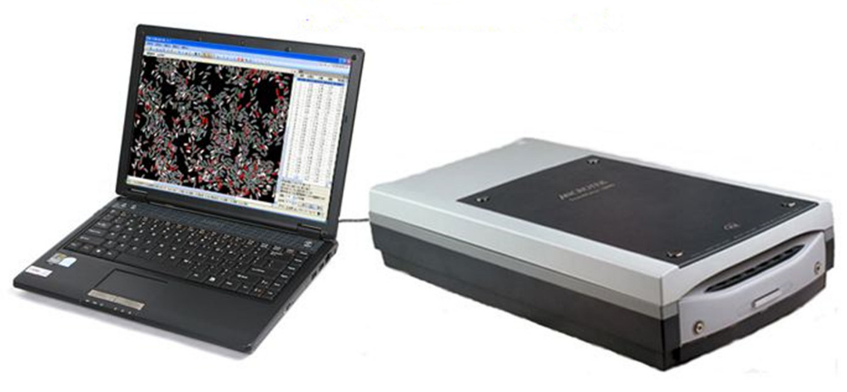 Rice appearance quality meter, ST155