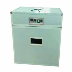 Electronic egg incubator
