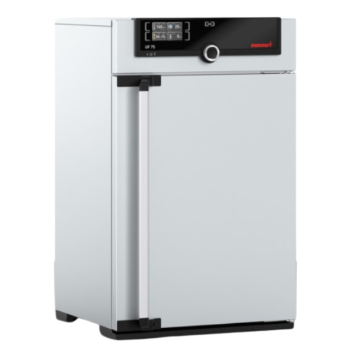 Forced Convection Lab Oven, UF75, 74 L, ESMC, Memmert, Germany