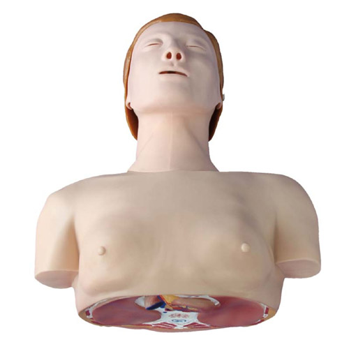 Basic CPR Training Model (Half Body), XC-404, ESMC, Xinch, China