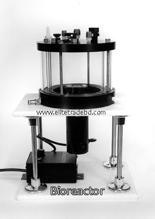 Bioreactor